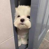 10727519头像