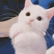 请来找我玩拜托啦的个人资料头像