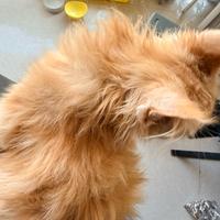 遵义帅翻天头像