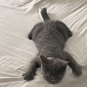 用户9218185444103的个人资料头像