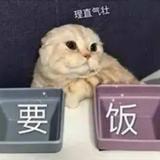 我FUZE一定要救人质头像