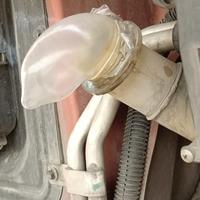 自若艺术家omi头像