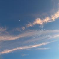 人在一旅途4b1X头像