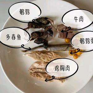 美美冻干零食坊头像