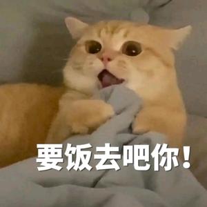 我已经够勇敢了头像