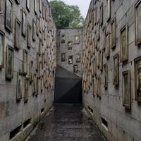 科长浩南005头像