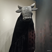 框架仔的个人资料头像