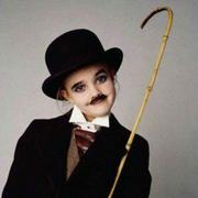 集市里的养猫者的个人资料头像