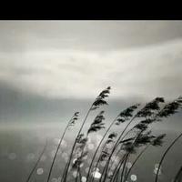 今生只为你277头像