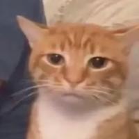 轨迹是花海头像