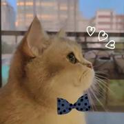 用户8782790947491的个人资料头像