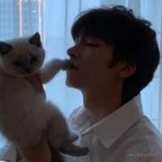 fatosy的个人资料头像