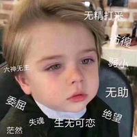 若人生止于初见( ˘头像