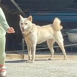 kami250头像