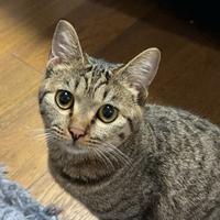 用户900408730019头像