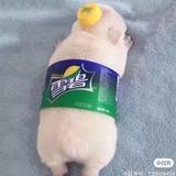 用户7626382855头像
