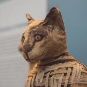 工程师小吴的个人资料头像