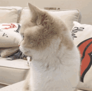 粥粥丶的个人资料头像