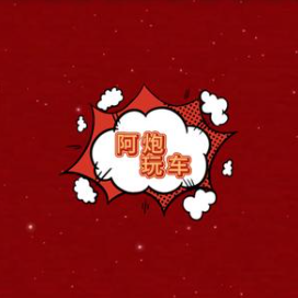 阿炮玩车头像