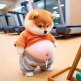 用户2851485699525头像