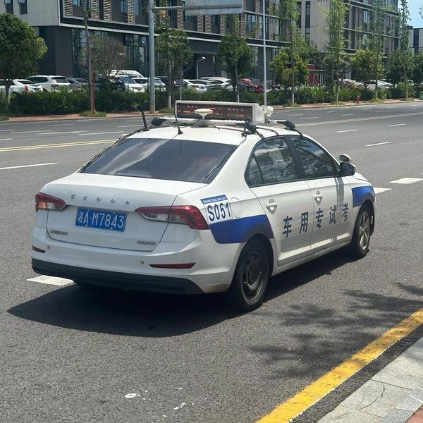 张公岭杨教模拟陪练头像