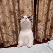 林木128的个人资料头像