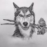 用户2874044291770头像