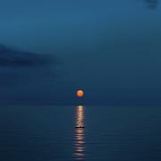 流浪的鱼__的个人资料头像