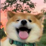 用户4448103880588头像