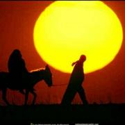 K1466236767000的个人资料头像