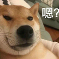 江北琅琊郡王府头像
