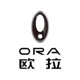 贵阳众源欧拉ORA头像