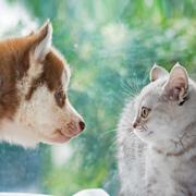 橙汁不加糖的个人资料头像