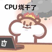 不会写代码的健身拳击手的个人资料头像