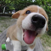 ljd0620的个人资料头像