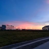 用户7168690768369头像