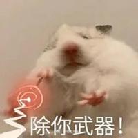 小王向前冲960头像