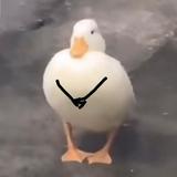独一无二的觅食头像
