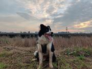 艸雨田的个人资料头像