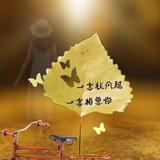 幽默橘子Ev头像