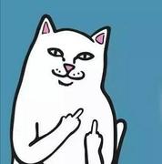 bee的个人资料头像