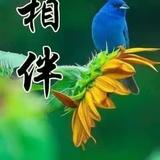 烟花三月421头像