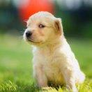 K同志86453的个人资料头像