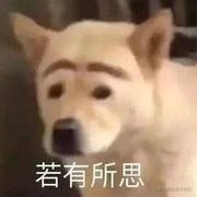 krzzy的个人资料头像