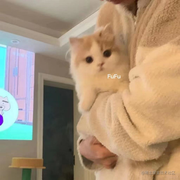 onetap的个人资料头像