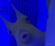 haha123的个人资料头像