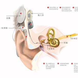 听健君头像