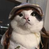 用户1176568795768头像