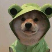 coffee_的个人资料头像