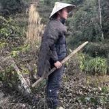 民古脐橙头像